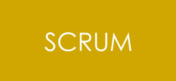 What does the scrum guide say?